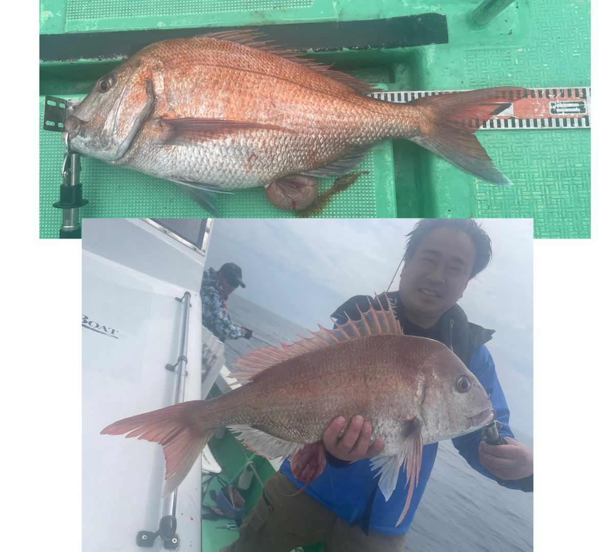 ポケ船長さんの釣果 2枚目の画像