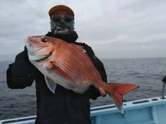 タイの釣果