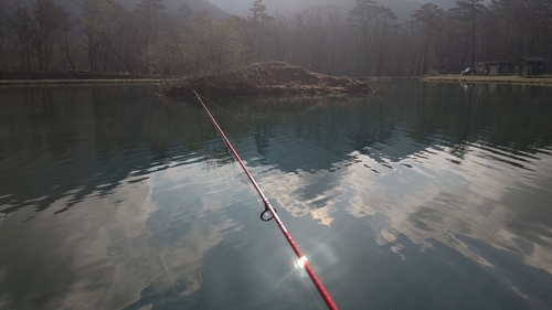 トラウトの釣果