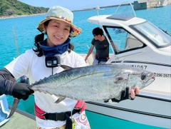 イソマグロの釣果