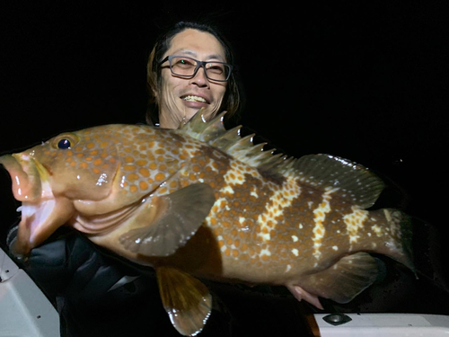 アコウの釣果