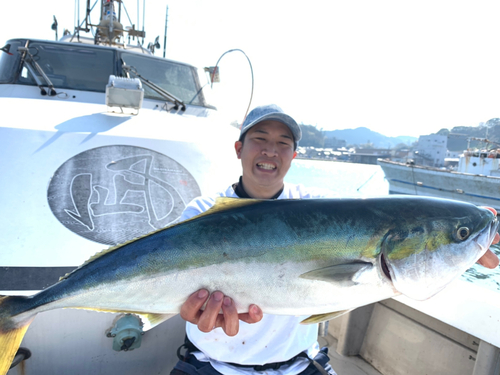 ブリの釣果