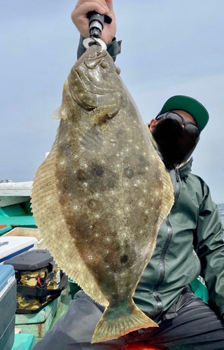 ヒラメの釣果