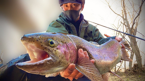 ニジマスの釣果