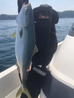 ヒラマサの釣果