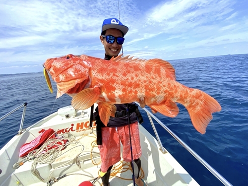 スジアラの釣果