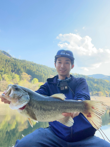 ラージマウスバスの釣果