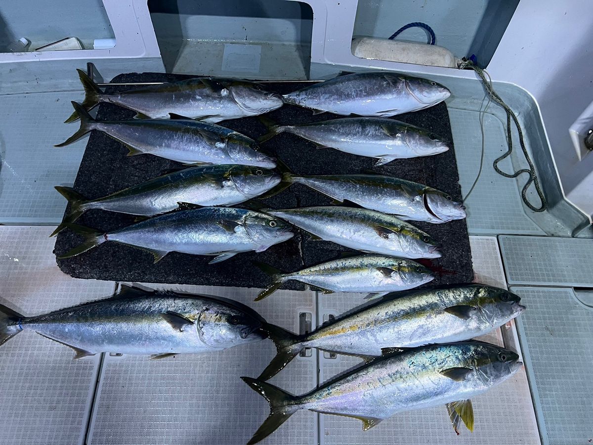 遊漁船たかくらさんの釣果 2枚目の画像