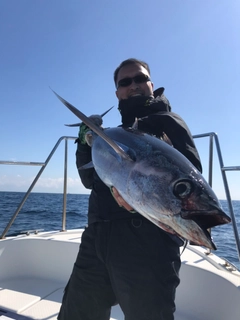 ビンチョウマグロの釣果