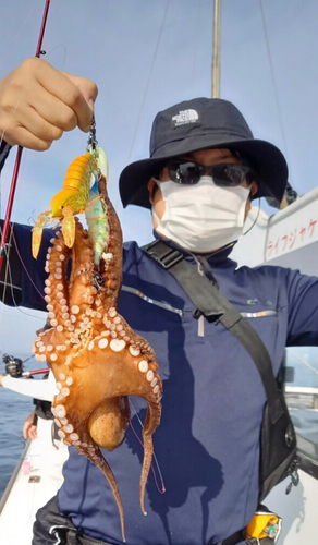 タコの釣果