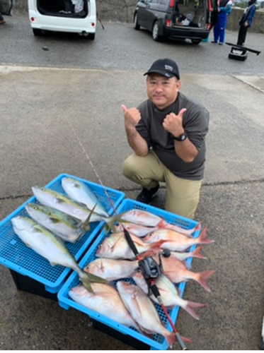 マダイの釣果