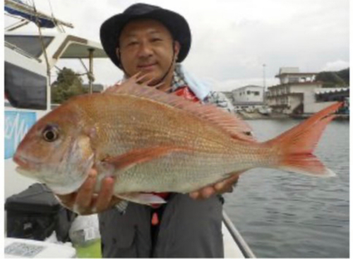 マダイの釣果