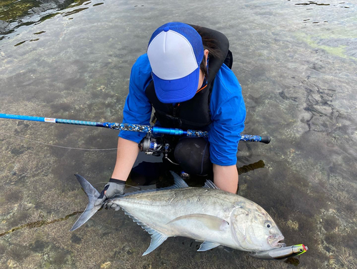 オニヒラアジの釣果