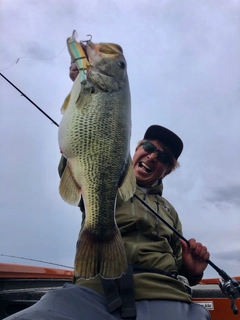 ブラックバスの釣果