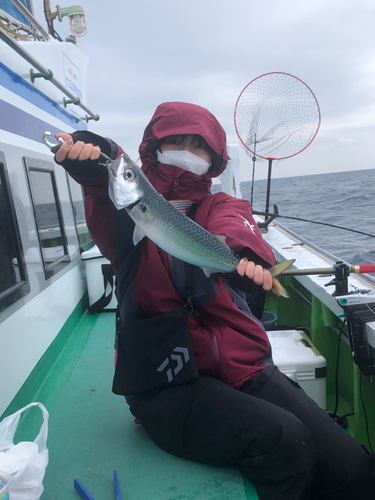 サバの釣果