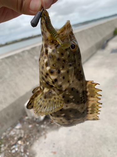 釣果