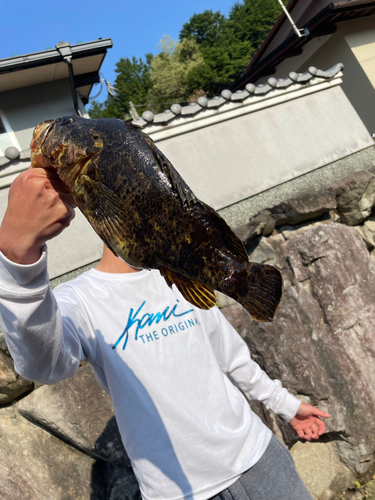 タケノコメバルの釣果