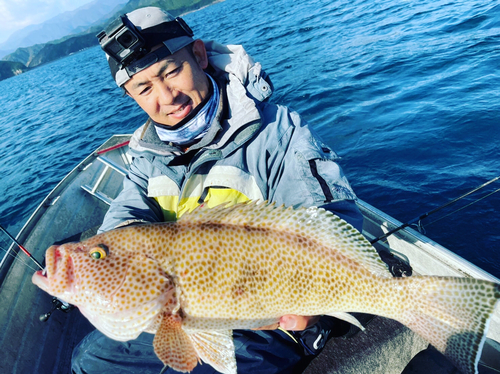 オオモンハタの釣果