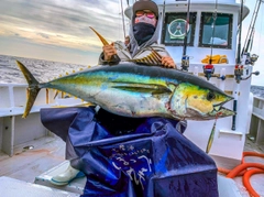 キハダマグロの釣果