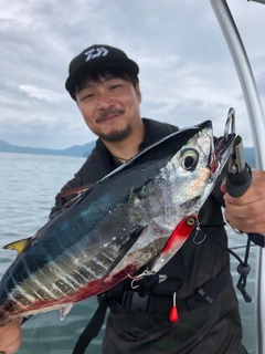 キハダマグロの釣果