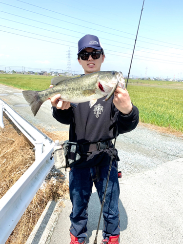 ブラックバスの釣果