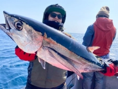 ビンチョウマグロの釣果