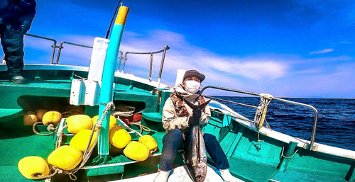 ビンチョウマグロの釣果