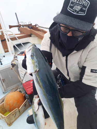 ハマチの釣果