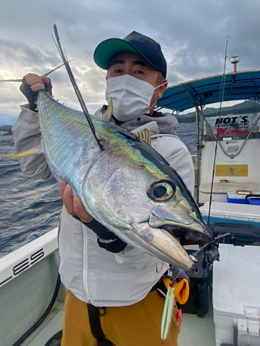 キハダマグロの釣果