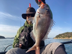 マダイの釣果