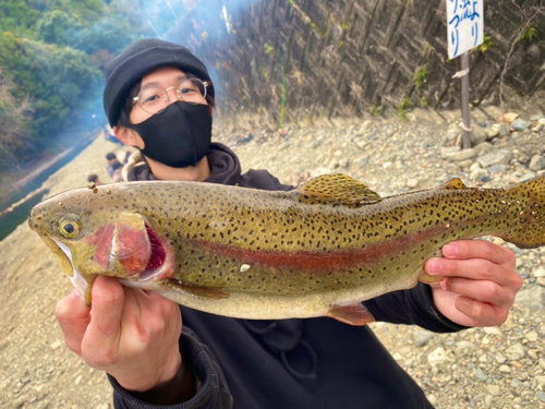 ニジマスの釣果