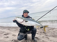 ブリの釣果