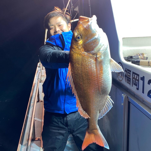 マダイの釣果