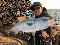 ヤズの釣果