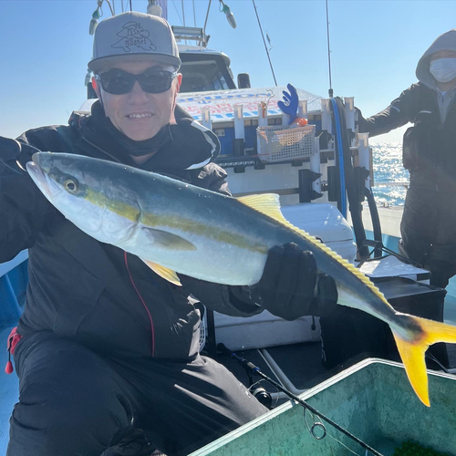 メジロの釣果