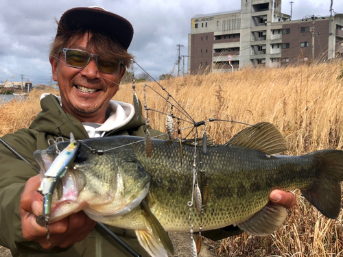 ブラックバスの釣果