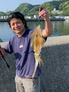 ミズイカの釣果