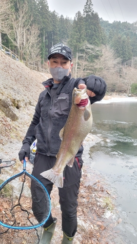 ニジマスの釣果