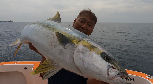 ヒラマサの釣果