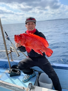 アザハタの釣果