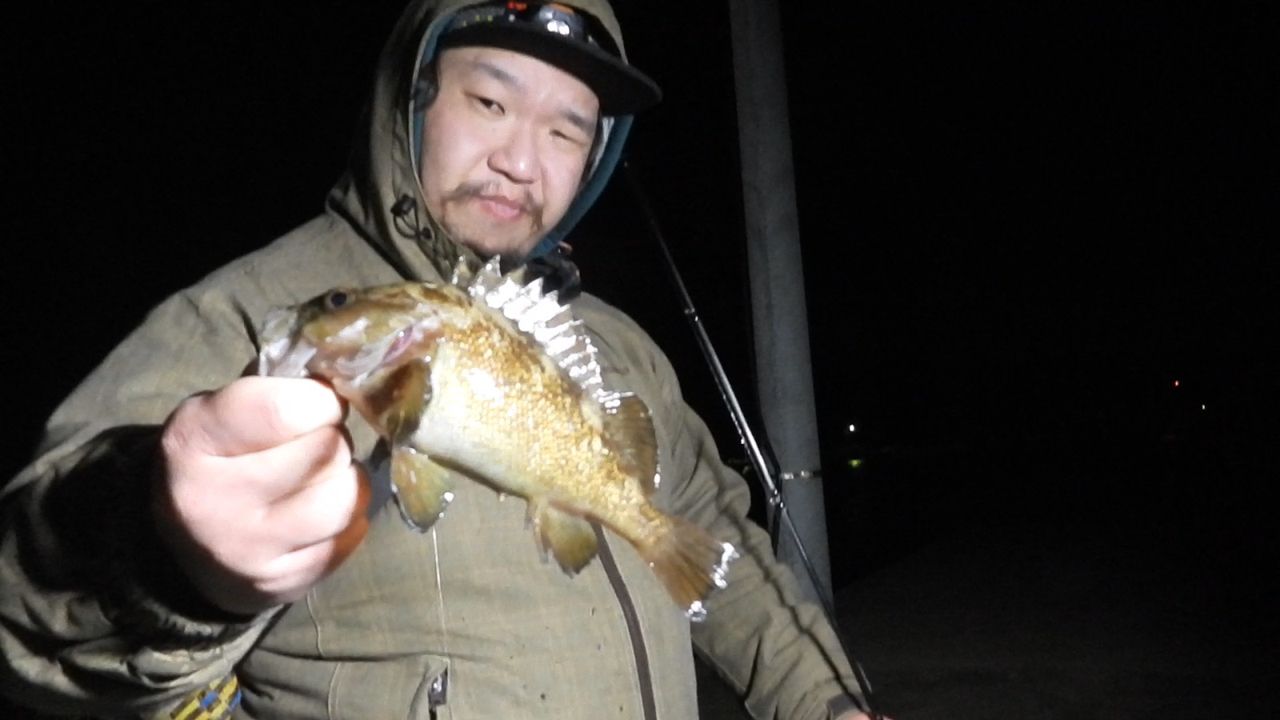 ガヤ