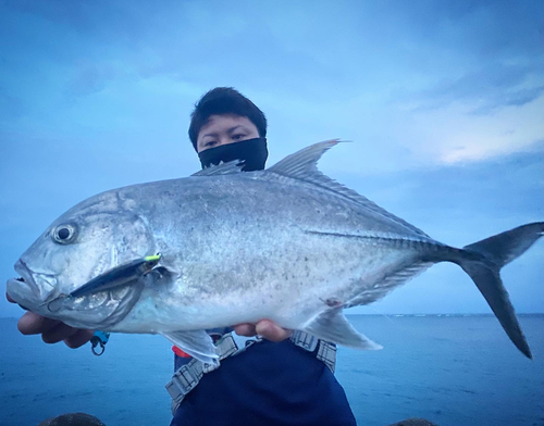 ロウニンアジの釣果