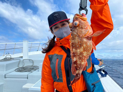 ウッカリカサゴの釣果