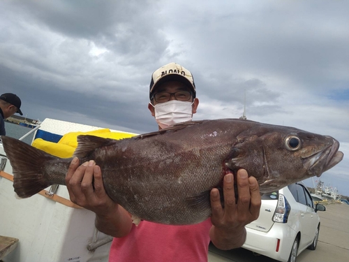 アラの釣果