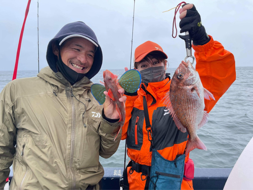 マダイの釣果