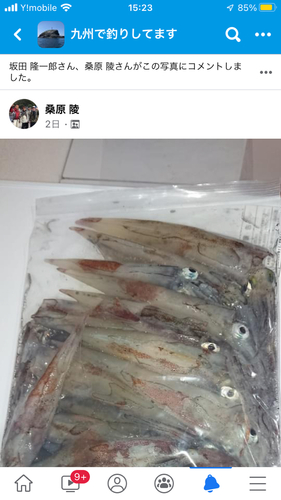 ササイカの釣果