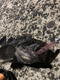 釣果