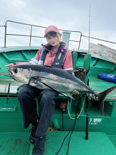 ビンチョウマグロの釣果