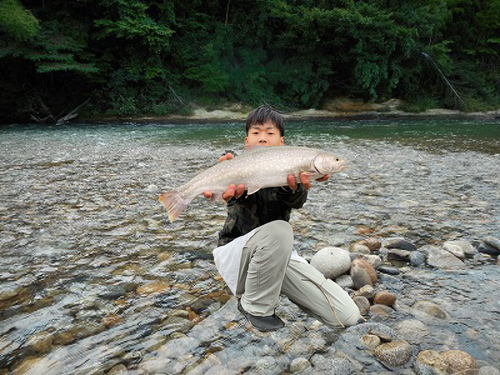 ニッコウイワナの釣果