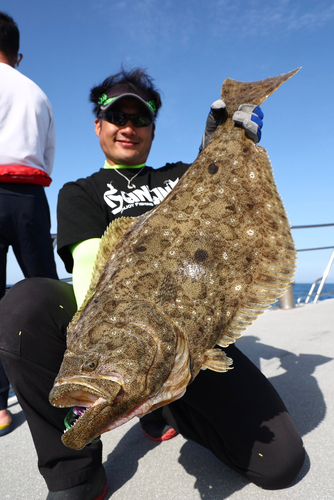 ヒラメの釣果